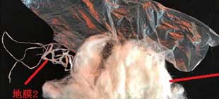 基于可見近紅外技術(shù)的棉花、地膜快速識別研究